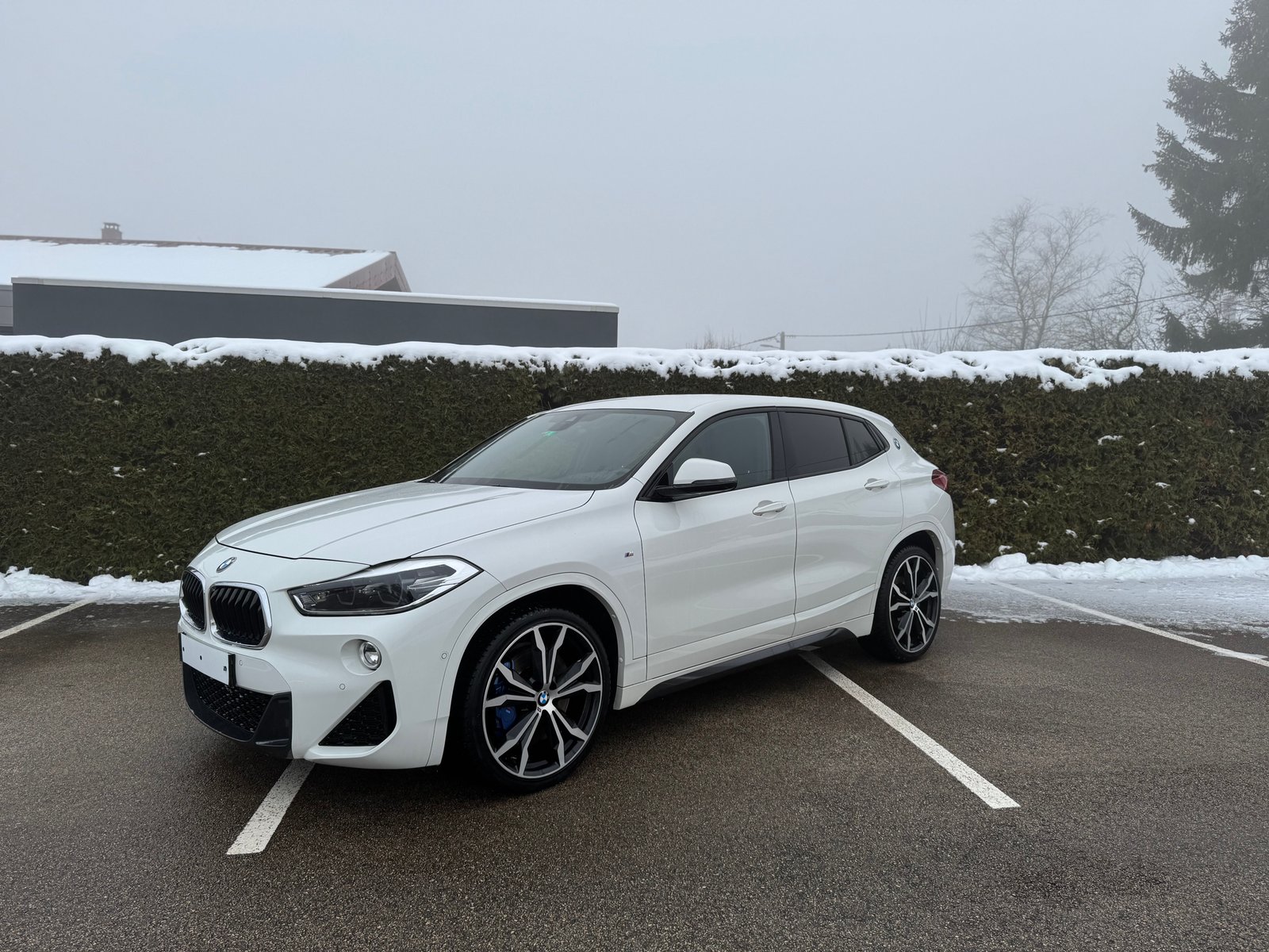 BMW X2 (F39) XDRIVE 18D M SPORT BVA8